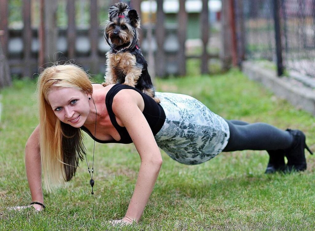Animal Workout