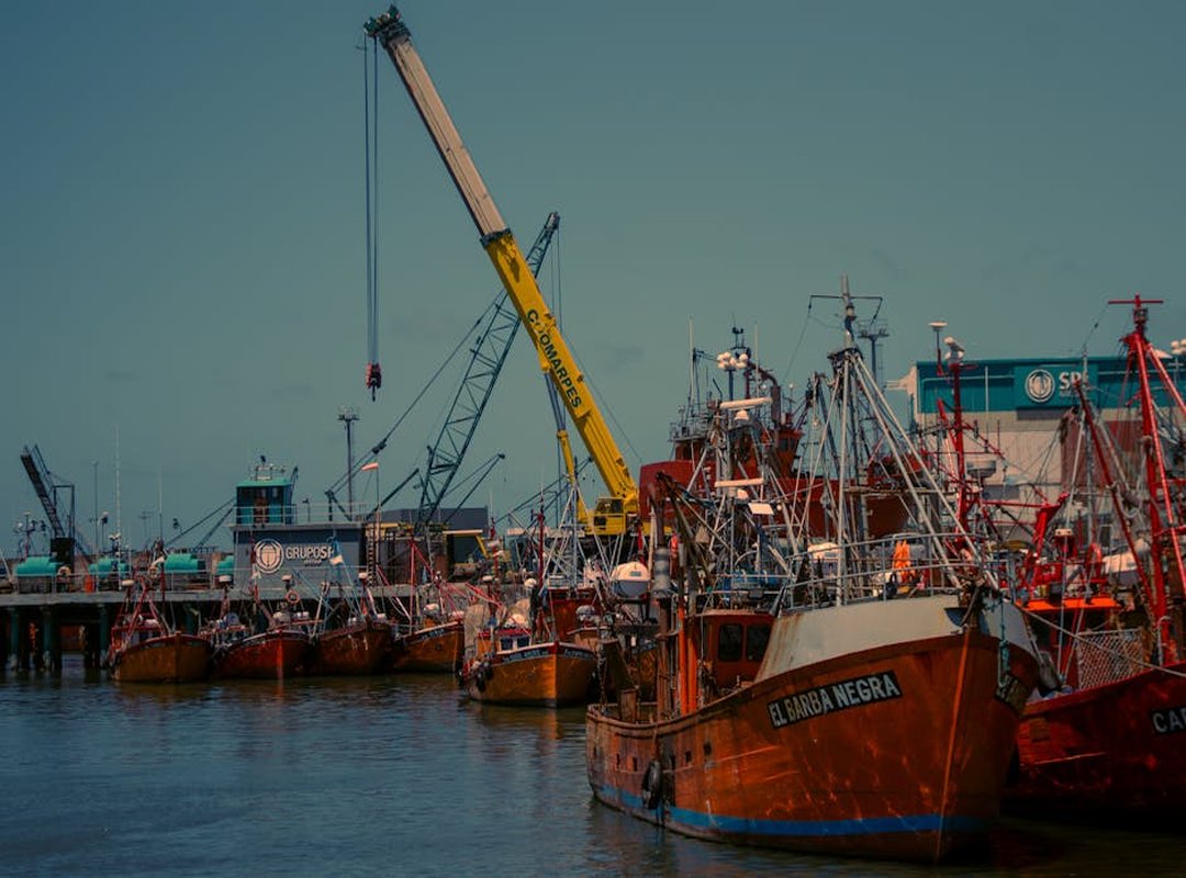 ¿Cómo Era el Ecosistema del Suricato Ancestral?