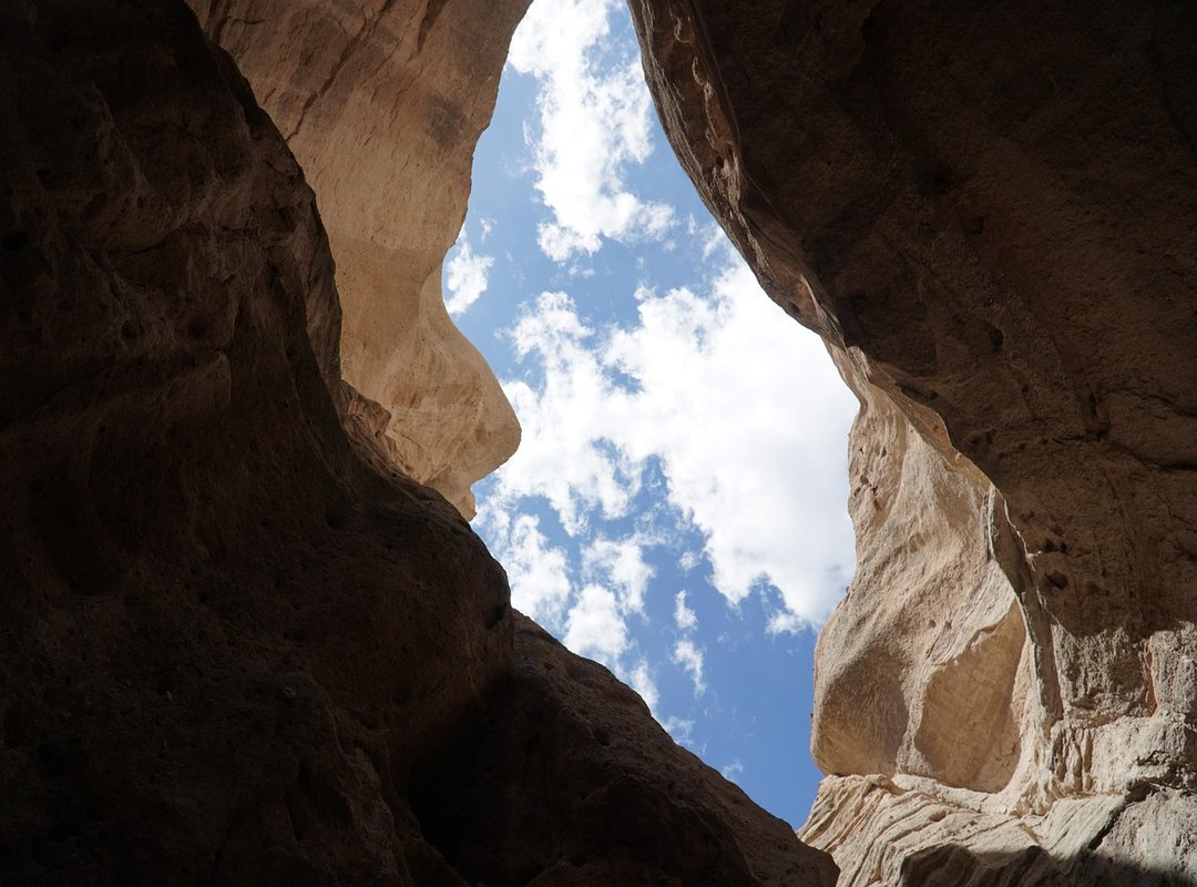 Ylixeko Food Additive Pregnancy